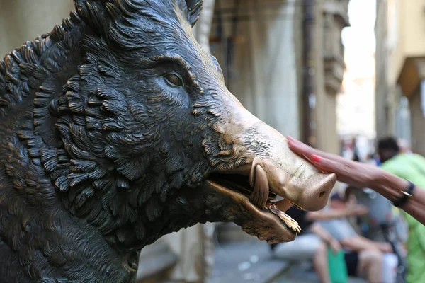 Touriste frottant le museau de sanglier d'une statue, Florence — Photo