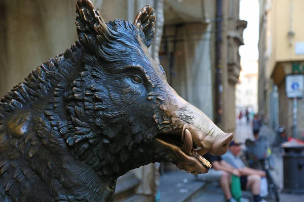 Глава статуи кабана во Флоренции — стоковое фото