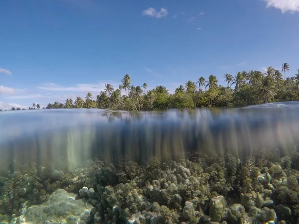 Coral subaquático e palmas acima na Polinésia Francesa . — Fotografia de Stock