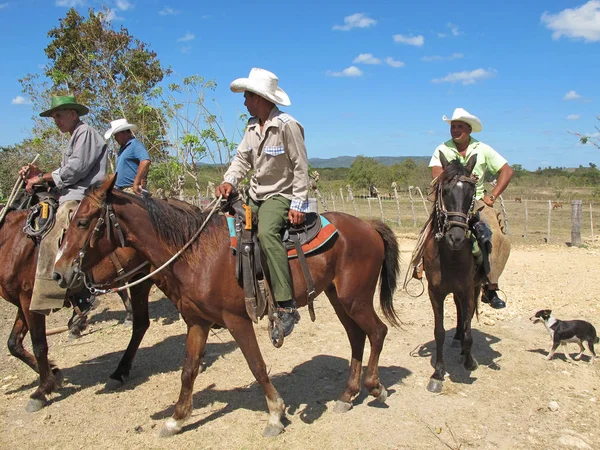 Najasa Cuba Marzo 2018 Cowboys Cane Una Strada Sterrata — Foto Stock