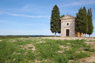 İtalya, Toskana 'da Vitaleta Kilisesi ve selvi