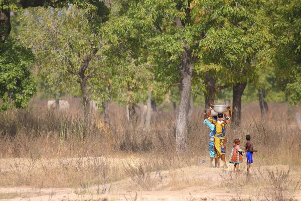 Nabori Ghana December 2019 Twee Afrikaanse Vrouwen Met Water Ghana — Stockfoto