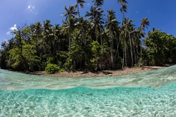 Ilha tropical em Raja Ampat, Indonésia — Fotografia de Stock