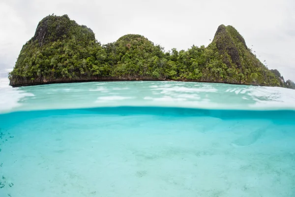 Křehké korály těsně pod povrchem v Raja Ampat — Stock fotografie