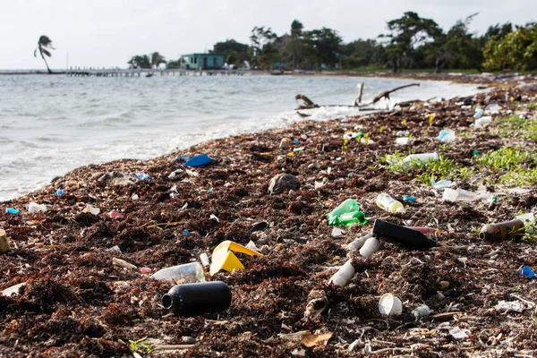 Plastic flessen aangespoeld op Remote Caribbean Beach — Stockfoto
