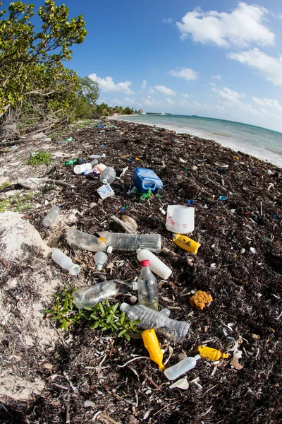 Plastic flessen op Remote Caribbean Beach — Stockfoto