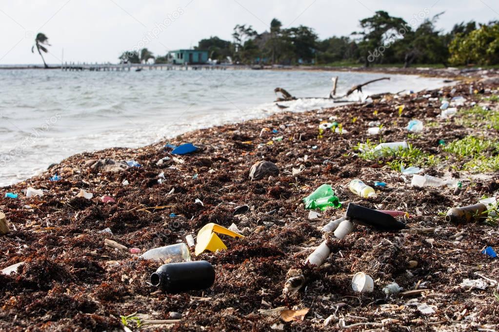Plastic Bottles Washed up on Remote Caribbean Beach