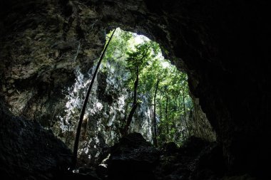 Palau daraltılmış mağara
