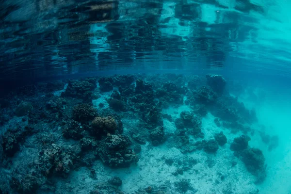 在帕劳的超现实水下风景 — 图库照片