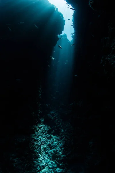 Sunlight and Dark Coral Reef Crevice — Stock Photo, Image