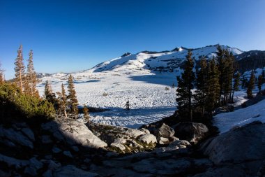 Karlı vahşi manzara Sierra Nevada dağlarında