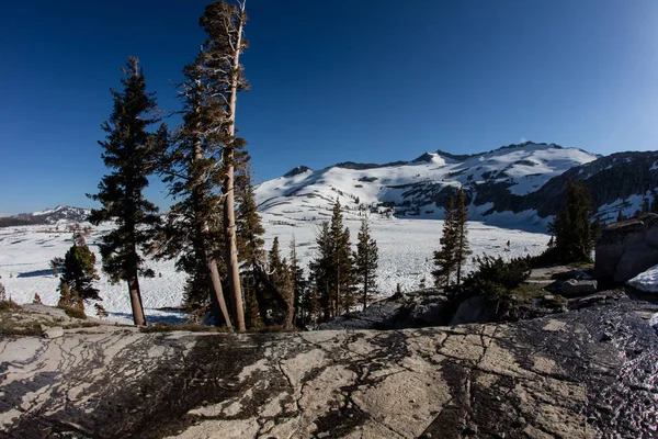 Woestijn landschap in de Sierra Nevada Mountains (Californië) — Stockfoto