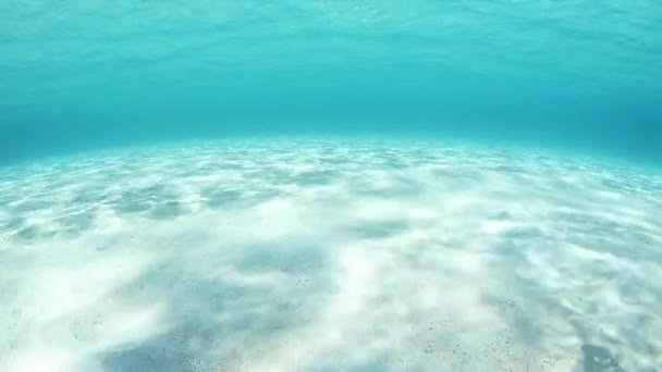 Ondulations de la lumière du soleil à travers le fond de mer sablonneux dans les tropiques — Video