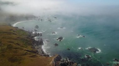 Sonoma kıyı şeridi Kuzey Kaliforniya'da hava