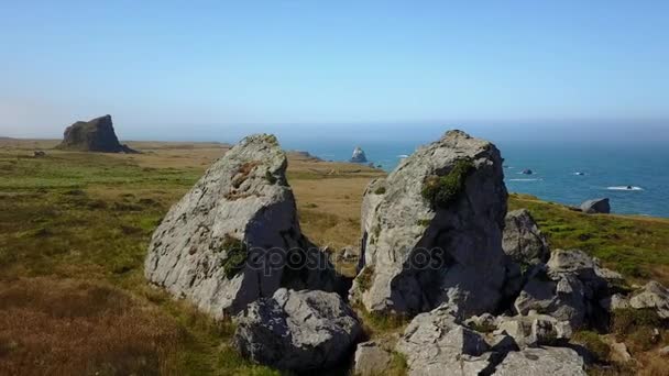 Aérien de Rocky Coast of Northern California — Video