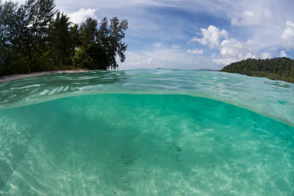 A shallow sandy seafloor surrounds a remote tropical island in Raja Ampat, Indonesia. This area harbors extraordinary marine biodiversity.