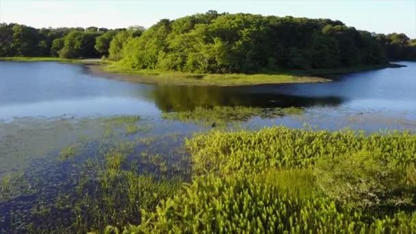 Prachtige Lake landschap op Cape Cod — Stockvideo