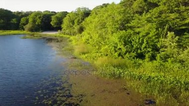 Cape Cod gölde dron görüntüleri