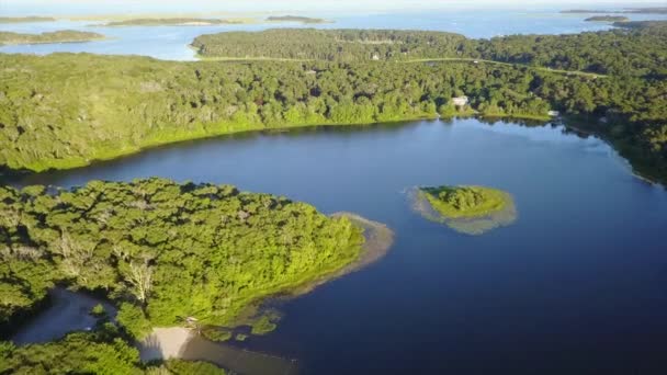 空中的湖上鳕鱼，马 — 图库视频影像