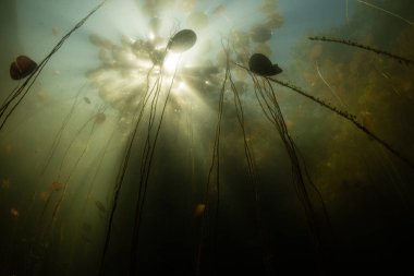 Güneş ışınları sualtı göl