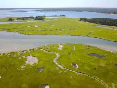 Cape Cod Marsh havadan görüntü