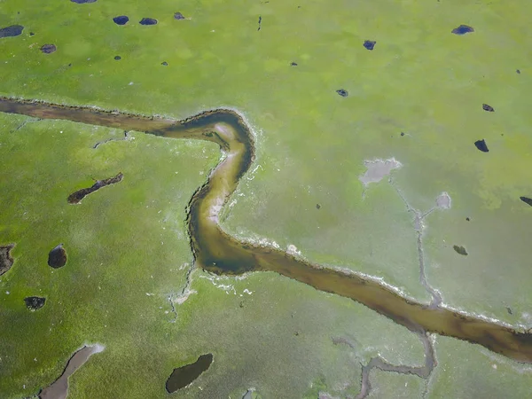 Aerial Image of Marsh in Cape Cod — Stock Photo, Image