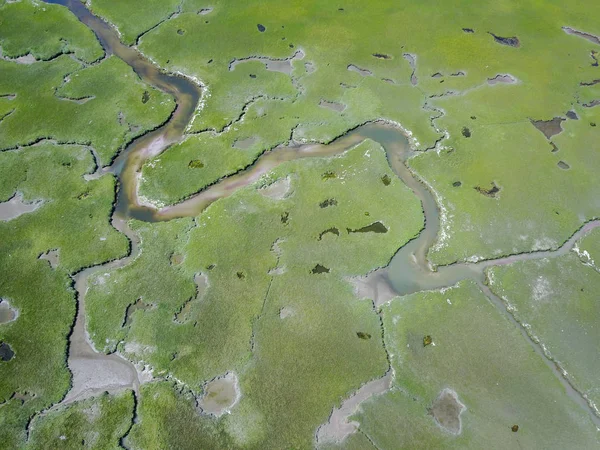 Aerial View of Wetland in New England — Stock Photo, Image