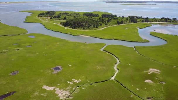 Kanaler vind genom Marsh livsmiljö på Cape Cod — Stockvideo