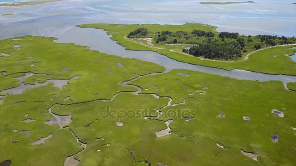 Letecký pohled na Cape Cod Marsh — Stock video