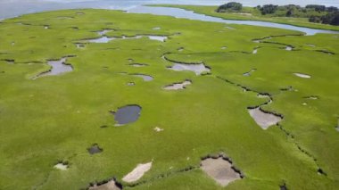 Marsh New England'ın havadan görünümü