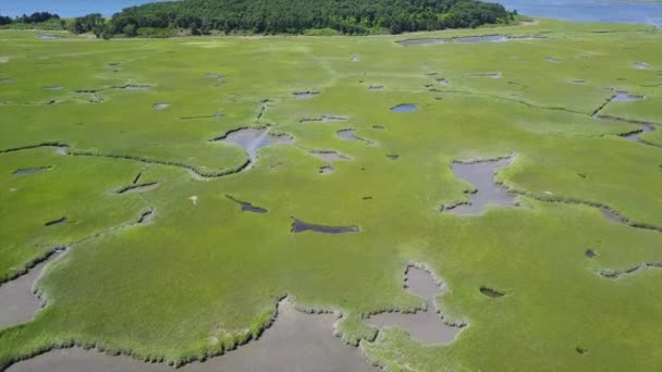 Widok na rozległy Cape Cod Marsh — Wideo stockowe