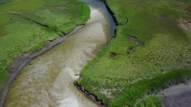 Canal sinuoso através de zonas húmidas no Cabo Cod — Vídeo de Stock