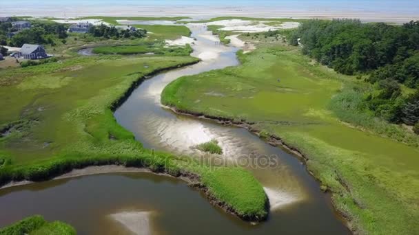 Filmagem aérea de Meandering Wetland Channel — Vídeo de Stock