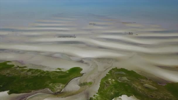 Sand Flat at Low Tide on Cape Cod — Stock Video