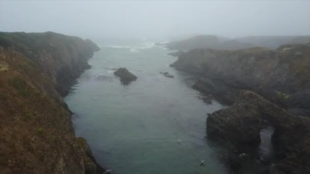 Antenn av norra Kaliforniens kust — Stockvideo