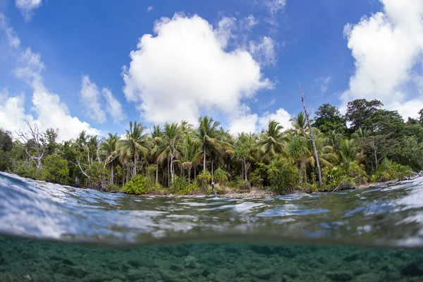 Sielankowy tropikalny wyspa na Pacyfiku — Zdjęcie stockowe