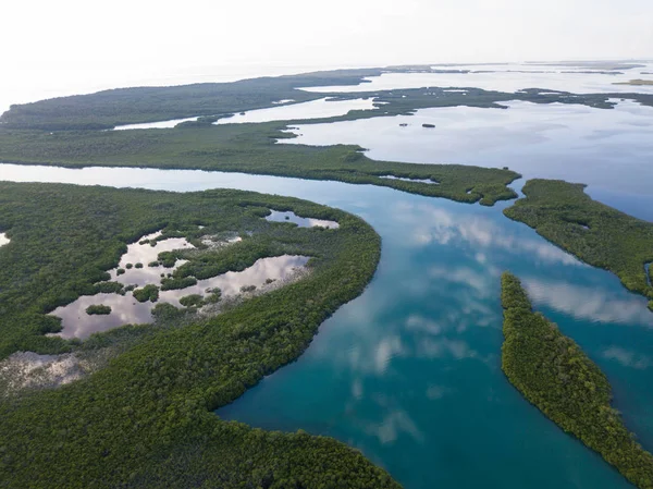 Aerial View of Mangrove Islands in Caribbean
