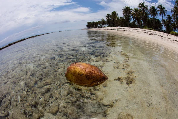 Kokosnoot drijvend in de buurt van tropisch eiland — Stockfoto