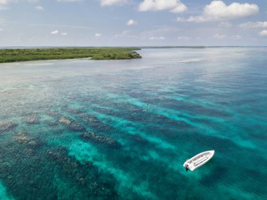 Güzel Karayip mercan kayalığı havadan görünümü