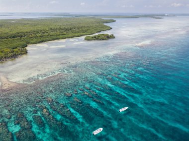 Karayip Barrier Reef havadan görünümü