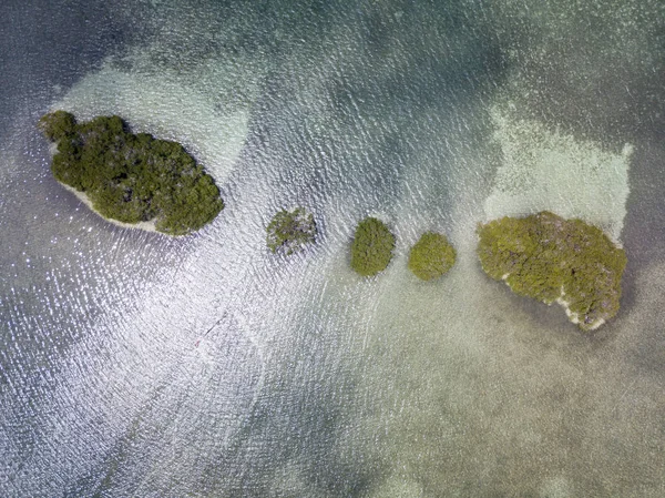 Mangrove Islands Aerial View