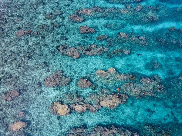 벨리즈에서 카리브 해 산호초의 항공 보기 — 스톡 사진