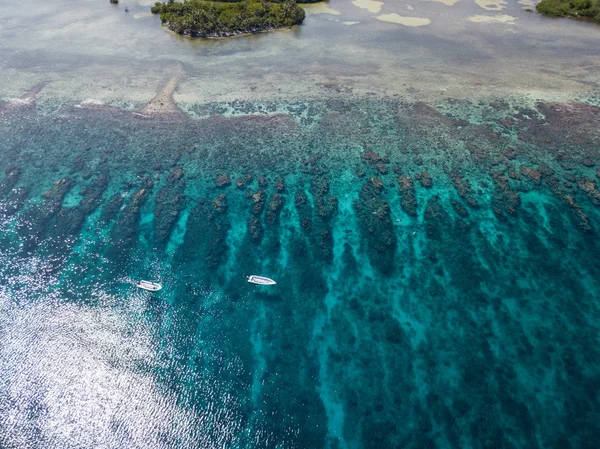 Karayip resif havadan görünümü — Stok fotoğraf