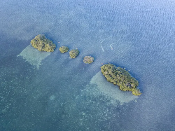 Aerial Image of Mangrove Islands