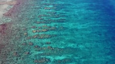 Karayip mercan kayalığı havadan görüntüleri