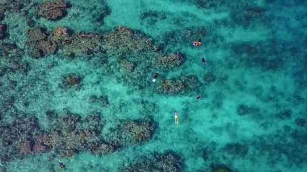 Luchtfoto van Caribische koraalrif — Stockvideo