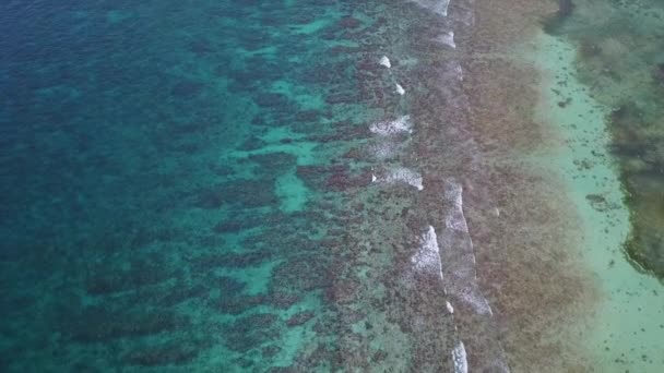 Filmagem aérea do recife de coral do Caribe — Vídeo de Stock