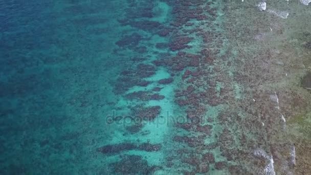 Images Aériennes du Récif De Corail De Belize — Video