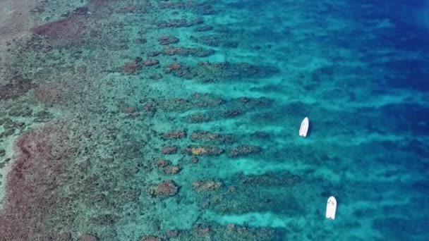 Luchtfoto beelden van Caribische Reef — Stockvideo