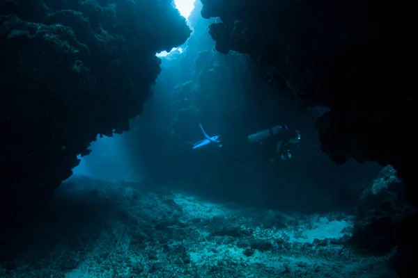 Dark, Underwater Cave and Divers